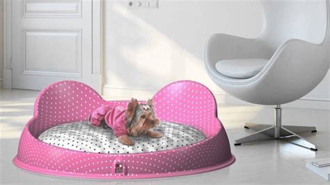 Fancy dog beds designs for the comfort of your beloved pet