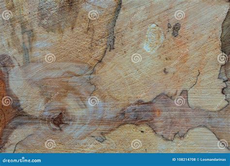 Aspen Wood Texture Royalty-Free Stock Image | CartoonDealer.com #108214708