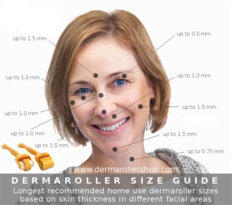 dermaroller size guide in different facial areas based on skin thickness