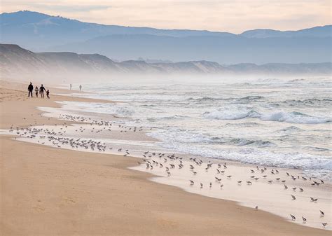 Marina State Beach Photograph by Derek Dean - Fine Art America