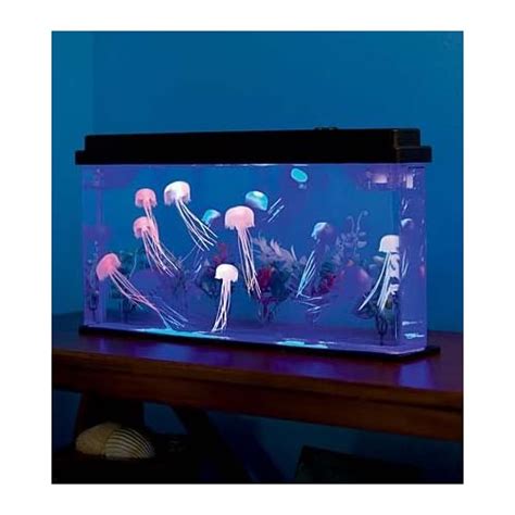 Jellyfish Aquarium