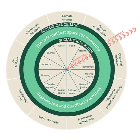 Rethinking Coffee With Doughnut Economics - Trabocca