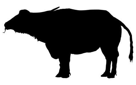 Water buffalo Bison Silhouette Clip art - bison png download - 728*456 ...