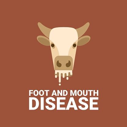 Vector Illustration Cows Head With Foaming Mouth As A Sign Of Foot And ...