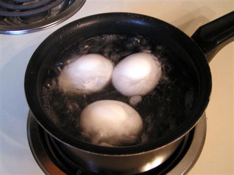 Boiling Eggs 1 Free Photo Download | FreeImages