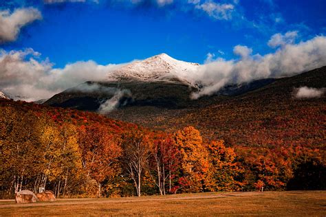 Bright Morning Fall Foliage At The Foot Of Mount Washington Photograph by Jeff Folger