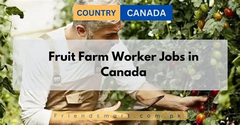 Fruit Farm Worker Jobs in Canada 2024 - Apply Now