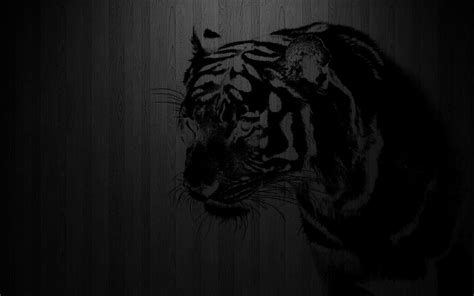 Black Tiger Wallpapers - Wallpaper Cave