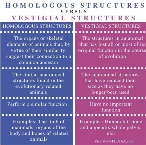 What is the Difference Between Homologous Structures and Vestigial Structures - Pediaa.Com