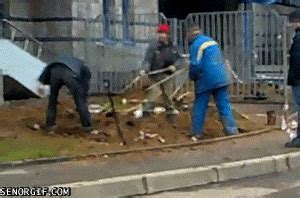 Teamwork Wtf GIF by Cheezburger - Find & Share on GIPHY