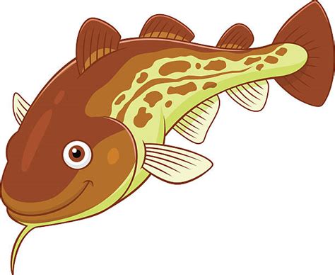 Cod Fish Cartoon Illustrations, Royalty-Free Vector Graphics & Clip Art - iStock