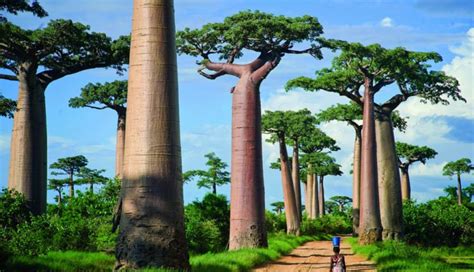 7 Must Visit Natural Wonders of Africa - lifeberrys.com