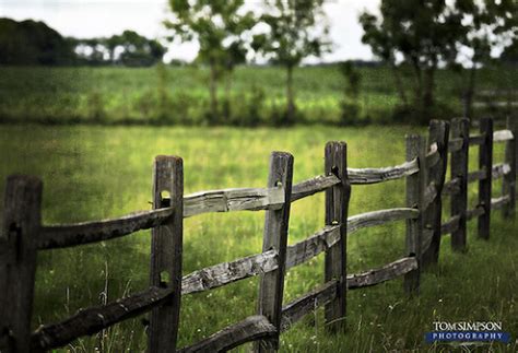 Awesome Family Portrait Backgrounds » Tom Simpson Photography