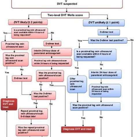 Clinical algorithm for diagnosis of DVT (deep vein thrombosis).... | Download Scientific Diagram