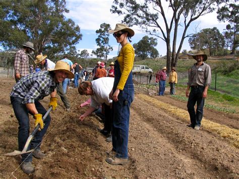 Learning how to start a Market Garden - Milkwood: permaculture courses, skills + stories