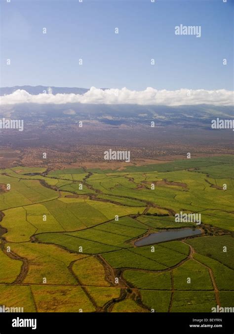 Sugar cane farming, Maui, Hawaii, Aerial View Stock Photo - Alamy