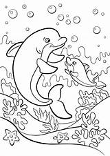 Dolphin Coloring Pages  Free Printable For Kids sketch template