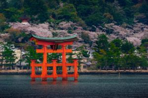 The Best Spots to See Cherry Blossoms Around Hiroshima - GaijinPot Travel