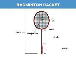 What are the Different Parts of a Badminton Racket? - BadmintonBites