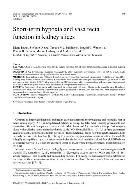 (PDF) Short-term hypoxia and vasa recta function in kidney slices