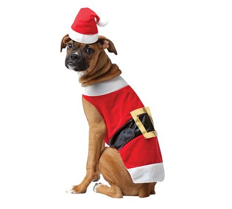 House & Home - 10 Christmas Pet Costumes That Will Spread Holiday Cheer