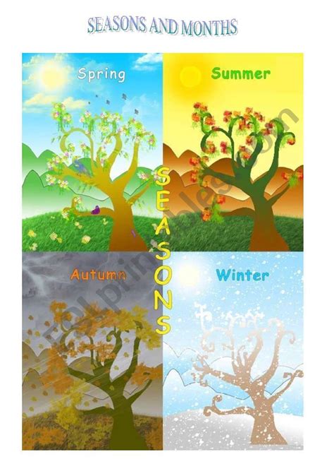 Seasons and Months - ESL worksheet by thedeepest