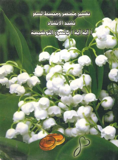 تفسير مختصر و مبسط لسفر نشيد الانشاد أيمن أنيس | المعرض المصري للكتاب EGBookFair