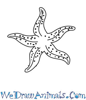 How to Draw a Starfish