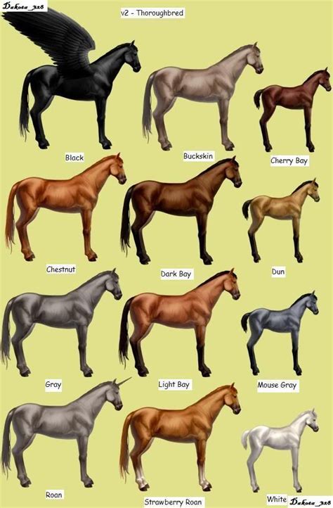 Howrse - V2 - Thoroughbred | Horse coat colors, Beautiful horses, Horse farm layout