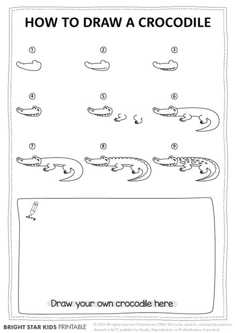How To Draw A Crocodile For Kids - Bright Star Kids
