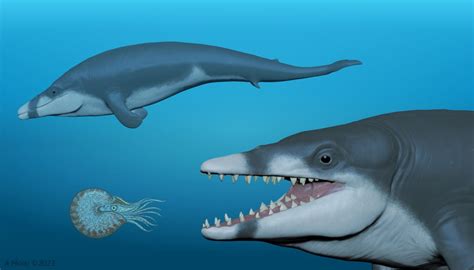 New Species Of Extinct Whale Named After Ancient…