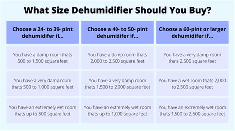 What size dehumidifier do you need? - Reviewed