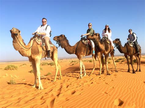 A Weekend in the Sahara Desert, Part 2: Camel Rides and Glamping