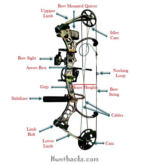 How to Shoot a Compound Bow