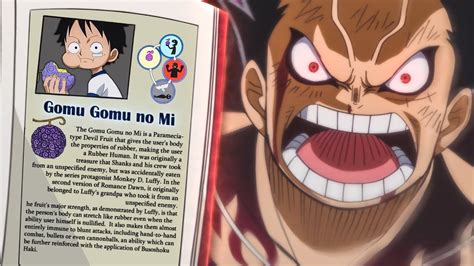 Devil Fruit Encyclopedia: Everything We Know (Reincarnated Devil Fruits) - One Piece 925+ - YouTube