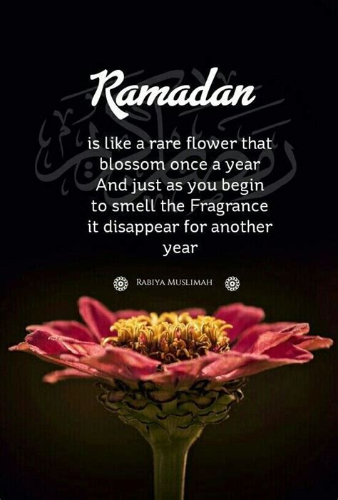 Beautiful Islamic Ramadan Quotes - ShortQuotes.cc