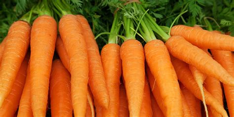 Why Carrots are the Essential Superfood - ZENB