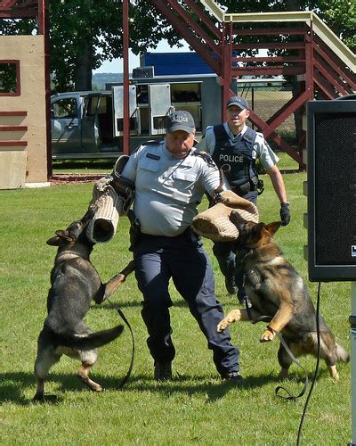 RCMP Dogs 38 | cj berry | Flickr