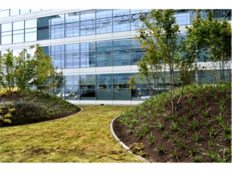 Providence Everett Medical Center - Greenroofs.com