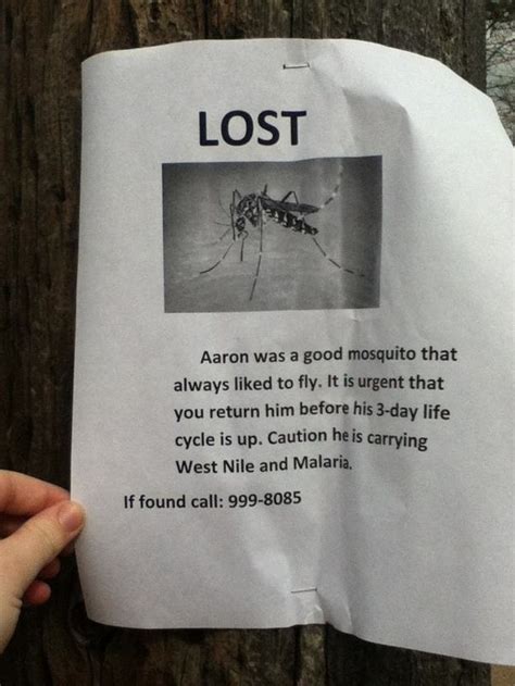 21 Funny Lost & Found Signs | Lost & found, Funny signs, Funny