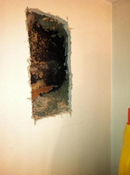 Bees Nest In Wall? - Drywall & Plaster - DIY Chatroom Home Improvement ...