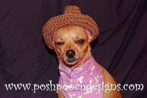 Ravelry: Dog Cowboy Hat pattern by Sara Sach