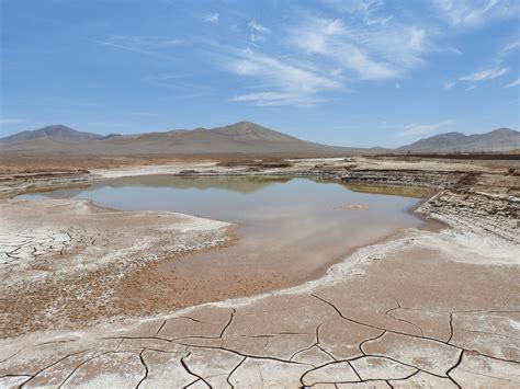 The first rains in centuries in the Atacama Desert devastate its microbial life