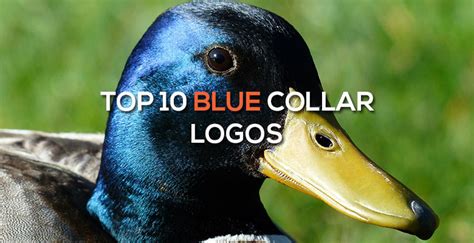 Top 10 Blue Collar Logos | Logo Design Works