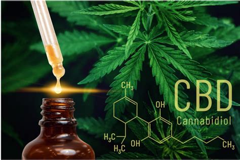 What Are the Different Types of CBD? A Brief Guide - EMR Industry