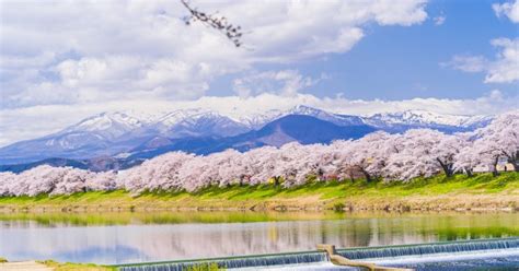 2-Day Muslim-friendly trip in Sendai for cherry-blossom hunting ...