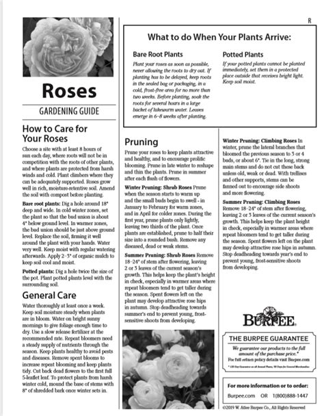 Do you have a planting guide for Roses? : Burpee Customer Service Center