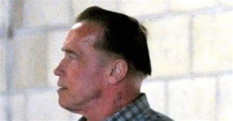 Arnold Schwarzenegger Steps Out Again With Bowl Cut—See the Hairstyle ...