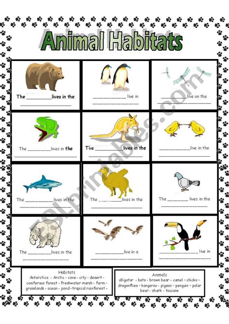 Animal Habitats - ESL worksheet by Anna P