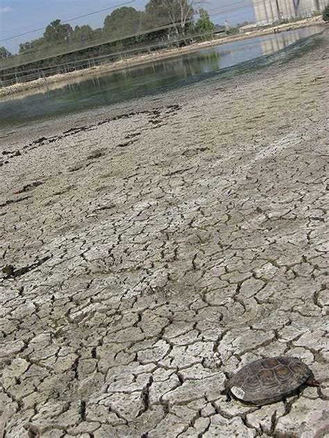 Worsening Water Scarcity to Affect 2 Billion Globally | Climate Central